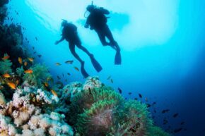 Corpus Christi Scuba Diving