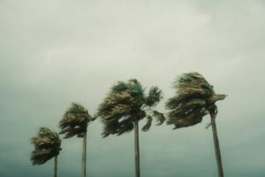 Hurricane Helene Spurs Coastal Bend Red Cross