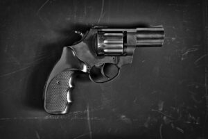 Gun Owners: Stricter Weapon Security