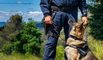 Game Wardens Honored for Saving Fisherman’s Life