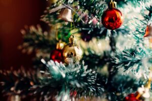 Christmas Trees Rising Prices