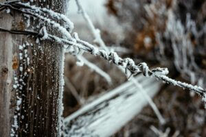 Coastal Bend Freezing Temperatures