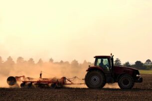 Texas Hemp Industry at Risk
