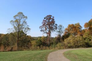 A winding walking trail surrounded by green grass and autumn trees under a clear blue sky at North Padre’s Commodore Park.