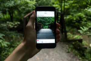 Hand holding a phone showing a photo of a wooden new trail bridge surrounded by lush green forest on a nature path.