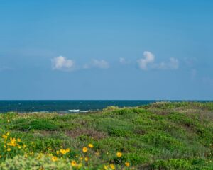Coastal Bend shoreline near Corpus Christi symbolizing South Texas communities affected by redistricting, jobs, and regional economic priorities.