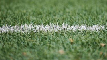 Close-up of NFL field turf with white yard line marking, symbolizing Texans Joe Mixon injury uncertainty.