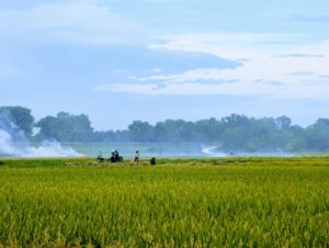 Global Conflict Drives Fertilizer Price Surge