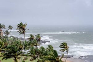 Palm trees bend in strong winds as rough waves hit a rocky shoreline beneath gray skies during Tropical Storm Bertha.