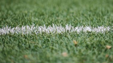 Close-up of white field markings across green soccer turf, representing Everton ownership and the club’s Premier League future.